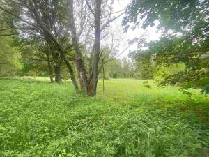 Prodej pozemku, Horní Planá - Bližší Lhota, Zvonková, 3443 m2