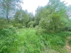 Prodej pozemku, Horní Planá - Bližší Lhota, Zvonková, 3443 m2