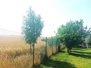 Prodej rodinného domu, Horní Slivno, 200 m2