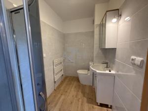 Pronájem bytu 1+kk, Bohumín - Starý Bohumín, P. Cingra, 32 m2