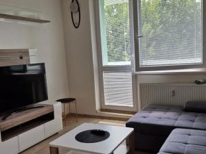 Pronájem bytu 1+1, Hustopeče, Školní, 30 m2