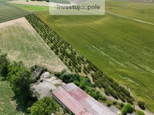 Prodej pozemku, Šardice, 11718 m2