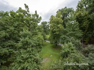 Pronájem bytu 1+1, Praha - Smíchov, U Demartinky, 45 m2