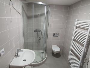 Pronájem bytu 2+kk, Hořovice, Ječná, 55 m2