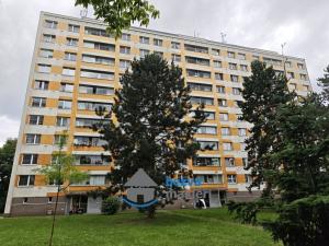 Pronájem bytu 1+1, Hradec Králové, Třebechovická, 38 m2