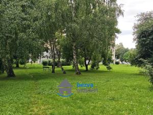 Pronájem bytu 1+1, Hradec Králové, Třebechovická, 38 m2
