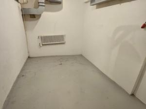 Pronájem skladu, Praha - Holešovice, Přístavní, 20 m2