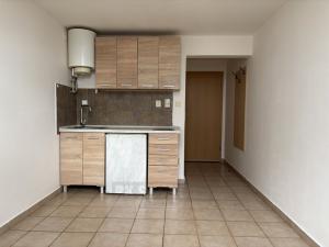 Pronájem bytu 1+kk, České Budějovice - České Budějovice 4, Dobrovodská, 16 m2