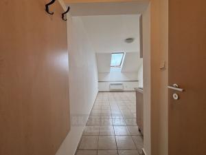 Pronájem bytu 1+kk, České Budějovice - České Budějovice 4, Dobrovodská, 16 m2