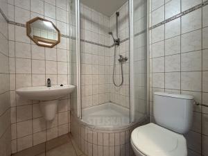 Pronájem bytu 1+kk, České Budějovice - České Budějovice 4, Dobrovodská, 16 m2
