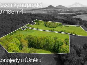 Prodej pole, Úštěk - Konojedy, 97185 m2