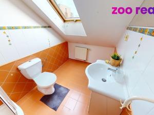 Pronájem bytu 4+kk, České Budějovice, Komenského, 155 m2