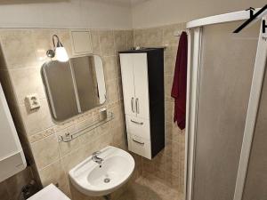 Prodej bytu 2+1, Choceň, Ostrovní, 57 m2