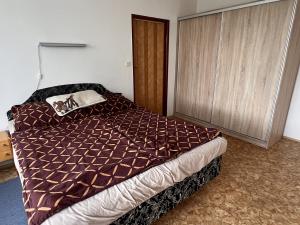 Pronájem bytu 1+1, Opočno, Dobrušská, 40 m2