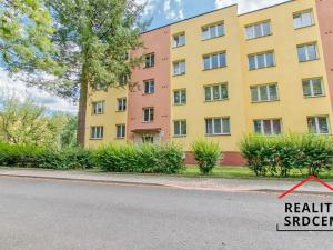 Pronájem bytu 1+kk, Karviná, Ve Svahu, 21 m2
