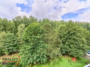 Pronájem bytu 3+1, Kraslice, Družstevní, 62 m2