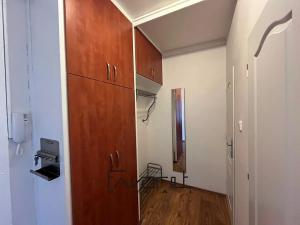 Pronájem bytu 1+1, Ostrava, Volgogradská, 40 m2