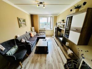 Prodej bytu 2+kk, Teplice - Prosetice, Rovná, 40 m2