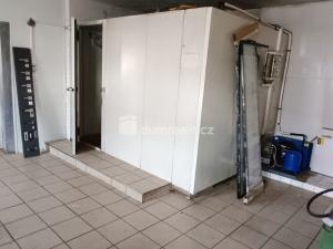 Pronájem výrobních prostor, Děčín - Děčín VI-Letná, Dělnická, 1466 m2