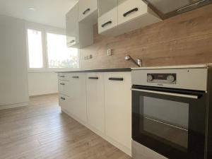 Pronájem bytu 3+1, Olomouc - Holice, U cukrovaru, 74 m2