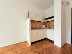 Pronájem bytu 1+kk, Jablonec nad Nisou - Jablonecké Paseky, U Staré lípy, 25 m2