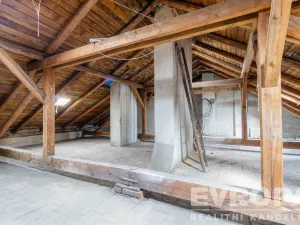 Prodej bytu 3+1, Havlíčkův Brod, Bezručova, 210 m2