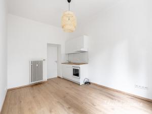 Pronájem bytu 1+kk, Praha - Vršovice, Petrohradská, 24 m2