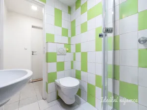 Pronájem bytu 1+kk, Praha - Vršovice, Petrohradská, 24 m2