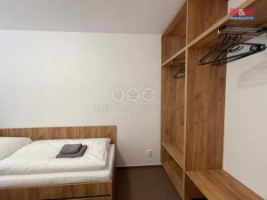 Pronájem bytu 1+kk, Ostrava - Vítkovice, Lidická, 30 m2