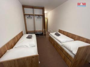 Pronájem bytu 1+kk, Ostrava - Vítkovice, Lidická, 30 m2