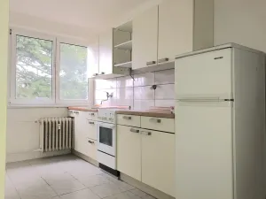 Prodej bytu 1+1, Horní Slavkov, Dlouhá, 34 m2
