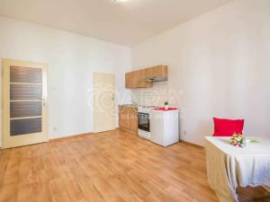 Pronájem bytu 1+kk, Praha, Na Skalce, 27 m2