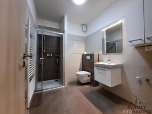 Pronájem bytu 1+kk, Olomouc, Loudova, 36 m2