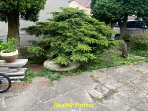 Prodej rodinného domu, Olešná, 110 m2