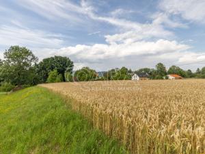 Prodej pozemku pro bydlení, Vražné, 4254 m2