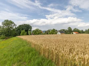 Prodej pozemku pro bydlení, Vražné, 4254 m2