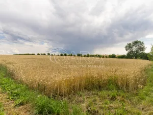 Prodej pozemku pro bydlení, Vražné, 4254 m2