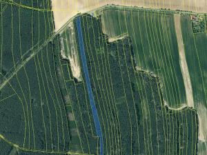 Prodej lesa, Hromnice, 12972 m2
