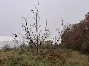 Prodej pozemku, Praha, 14747 m2