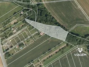 Prodej podílu lesa, Charváty, 592 m2