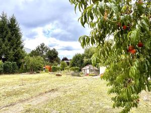 Prodej chaty, Pardubice, 18 m2