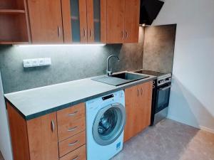 Pronájem bytu 2+1, Ústí nad Labem - Klíše, Klíšská, 52 m2