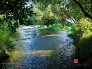 Prodej chaty, Blovice, Kamensko, 325 m2
