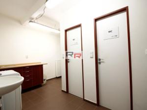 Pronájem kanceláře, Čelechovice na Hané, Ruská, 60 m2