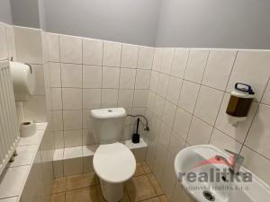 Prodej rodinného domu, Opava - Kylešovice, Lužická, 439 m2