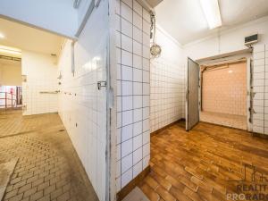 Prodej obchodního prostoru, Tvarožná Lhota, 278 m2