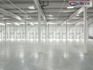 Pronájem skladu, Ostrava - Vítkovice, Halasova, 10275 m2