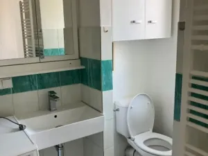 Pronájem bytu 2+1, Břeclav, Smetanovo nábřeží, 56 m2
