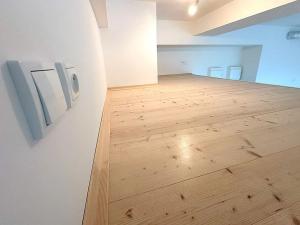 Prodej bytu 1+kk, Praha - Holešovice, V háji, 46 m2