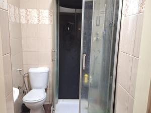 Prodej rodinného domu, Teplice - Trnovany, Thámova, 330 m2